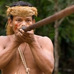 Духовое ружьё амазонских индейцев